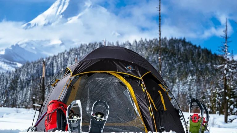 8 Best Camping Tents for Families in 2025: Top Picks for Comfort and Space