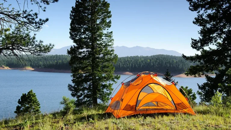 8 Best Pop Up Camping Tents in 2025: Quick, Waterproof Solutions for Outdoor Adventures